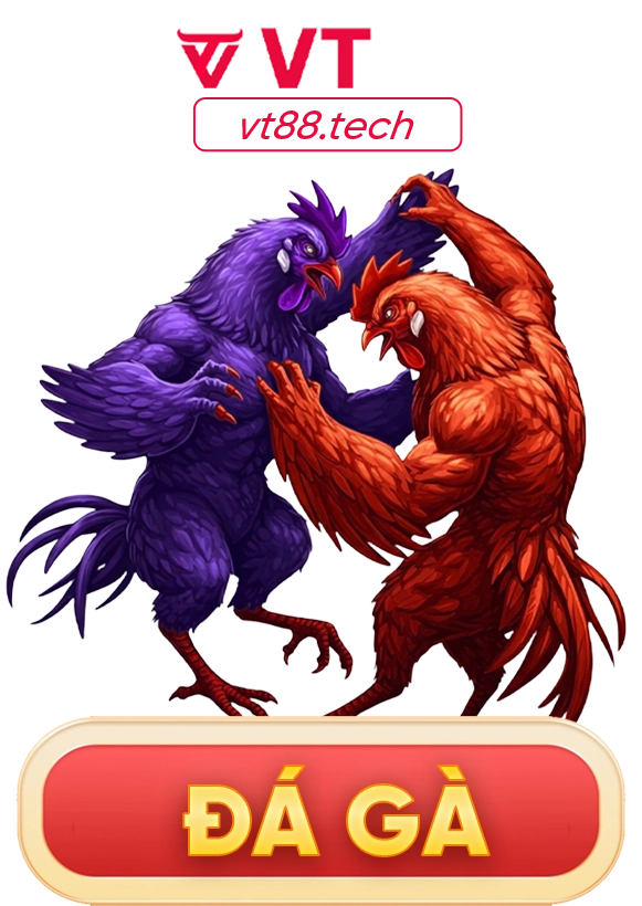 Đá gà vt88