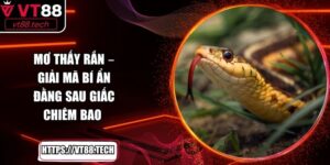 Mơ Thấy Rắn – Giải Mã Bí Ẩn Đằng Sau Giấc Chiêm Bao